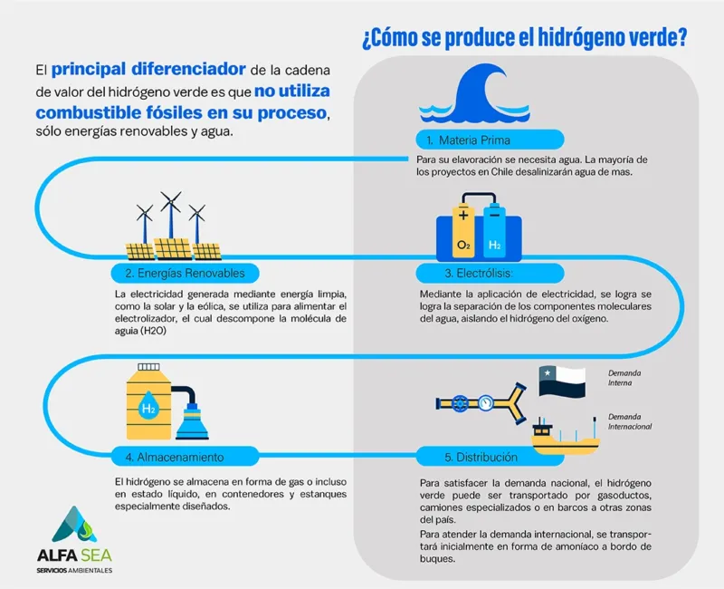 infografia50